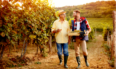 Farther and son laughing together at sunset on a vineyard